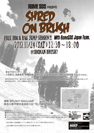 ROME-SHRED-ON-BRUSH_2.jpg